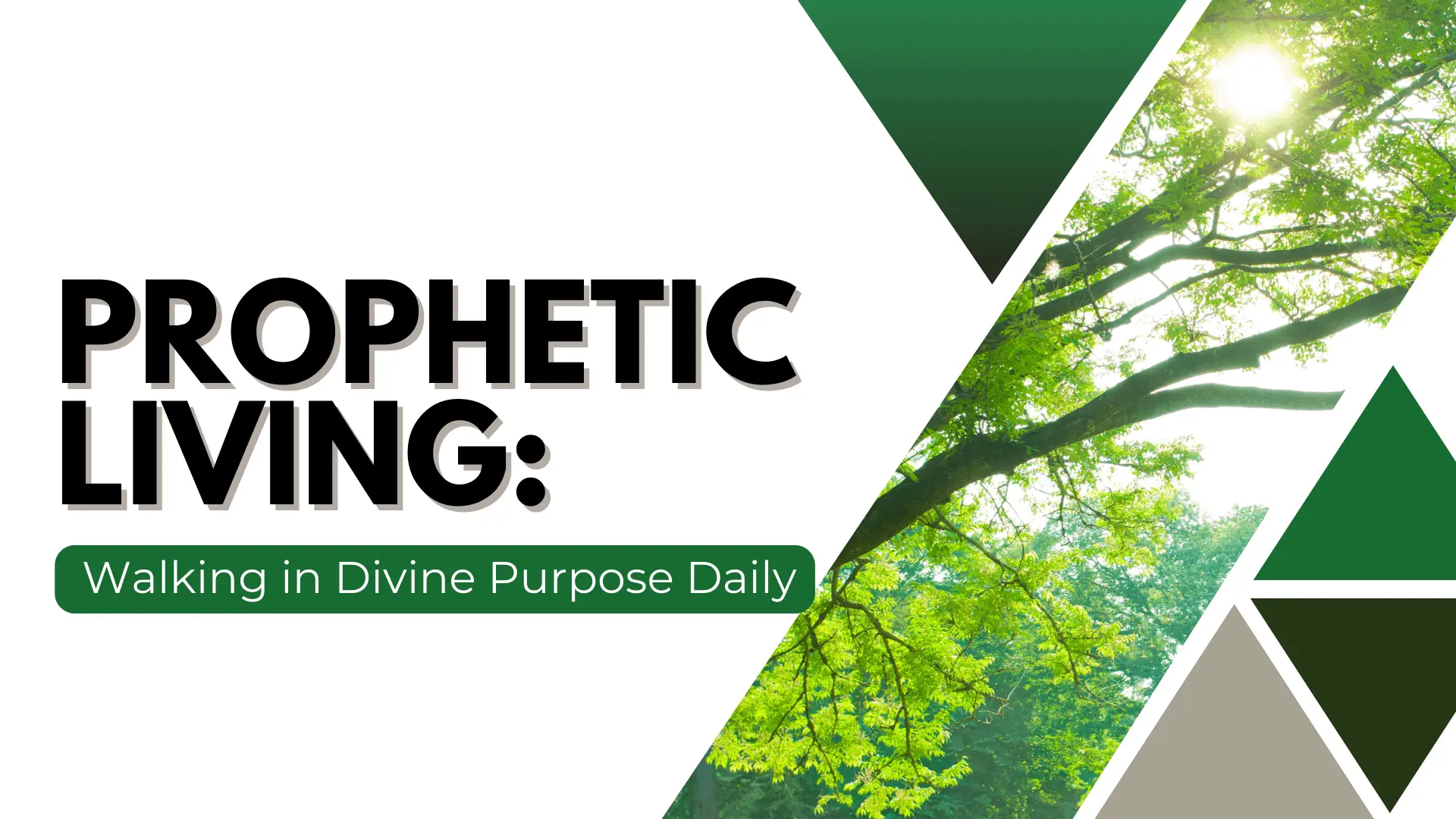 Prophetic Living: Walking Daily in Divine Purpose